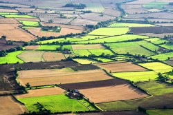 Hết thời hạn sử dụng đất nông nghiệp có phải đăng ký lại không?